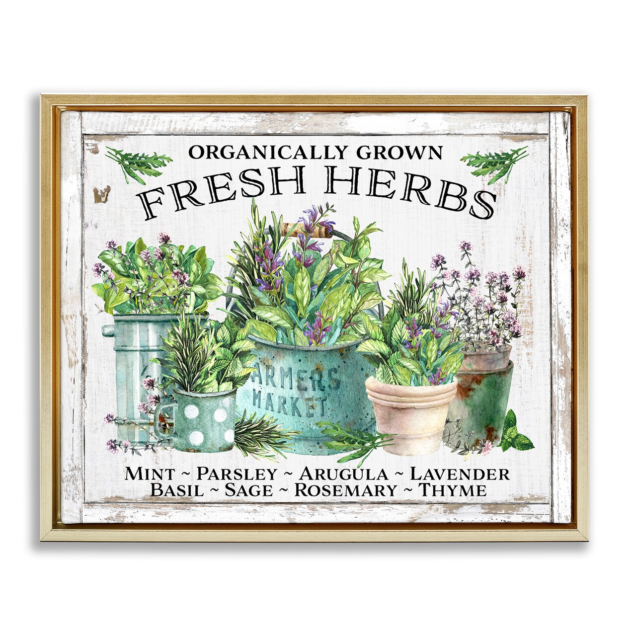 Stupell Industries Organic Fresh Herbs Floater Framed Canvas Wall Art Design by Creatif Belle